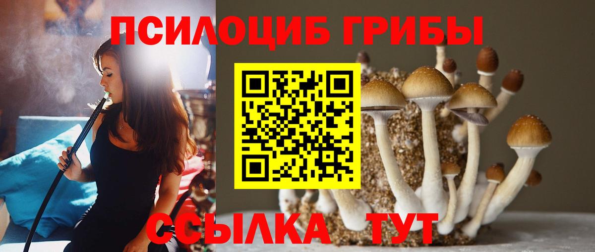 Псилоцибиновые грибы GOLDEN TEACHER  Вход с VPN  Копейск 