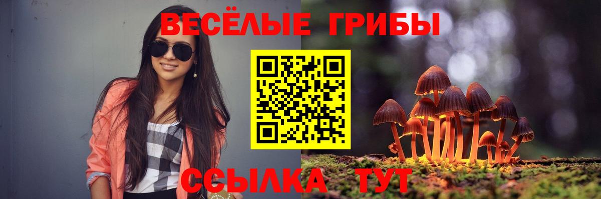 Галлюциногенные грибы GOLDEN TEACHER Копейск